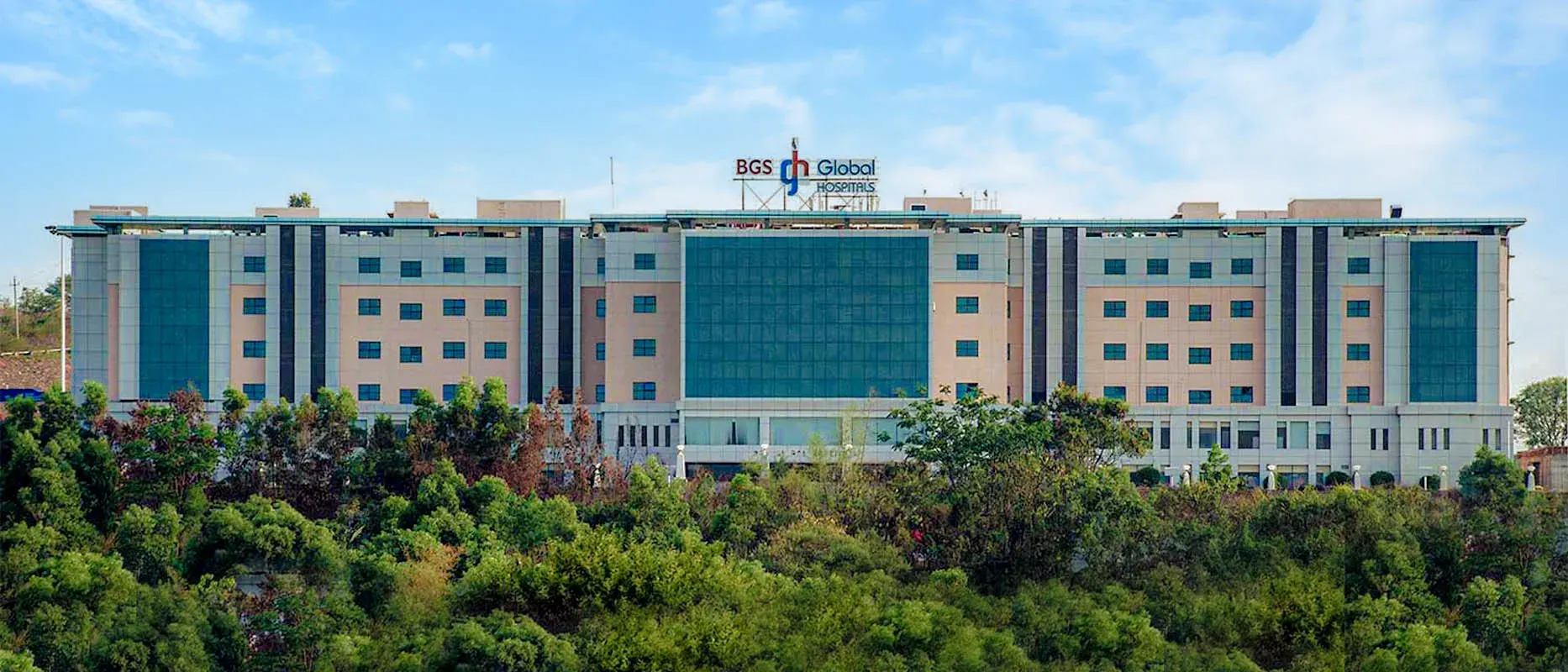 Gleneagles Global Health City image